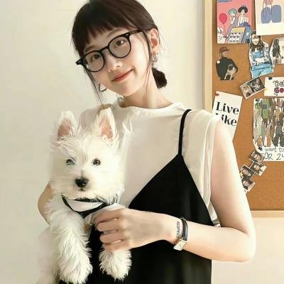 秋情 海报