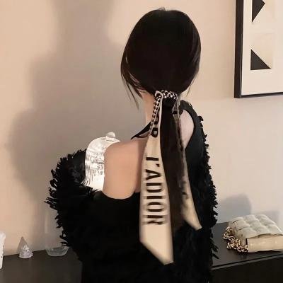 监察局长 海报